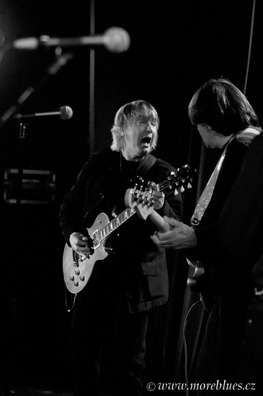 SAVOY BROWN_22