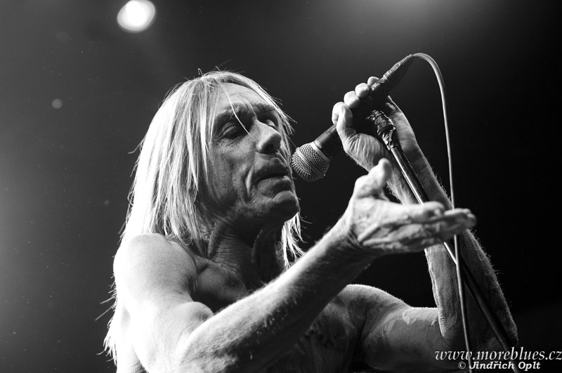 IGGY POP & THE STOOGES_13