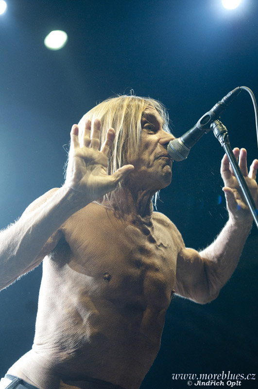 IGGY POP & THE STOOGES_15