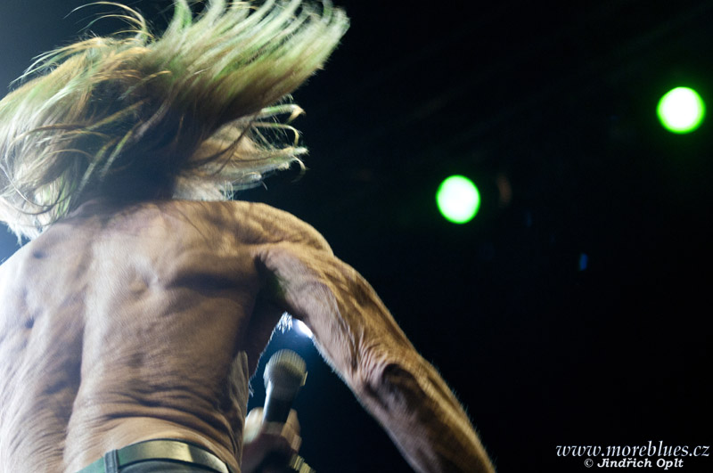 IGGY POP & THE STOOGES_22