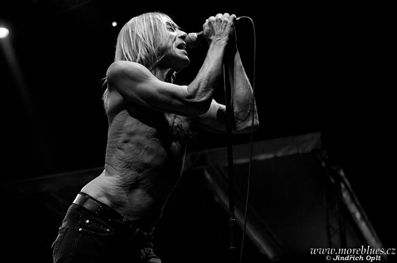 IGGY POP & THE STOOGES_43