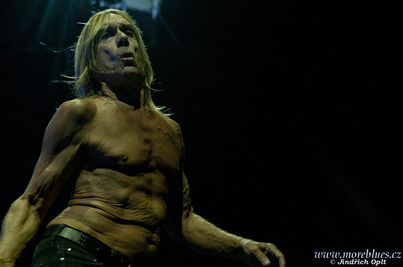 IGGY POP & THE STOOGES_65