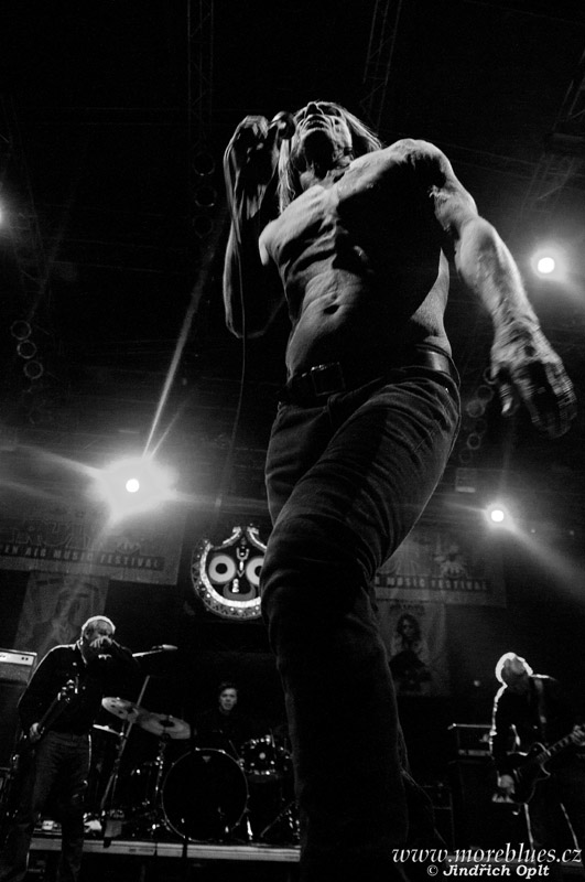 IGGY POP & THE STOOGES_71