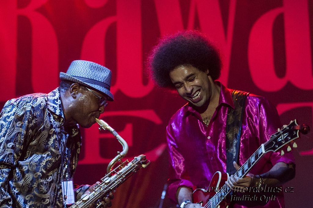 SELWYN BIRCHWOOD_37