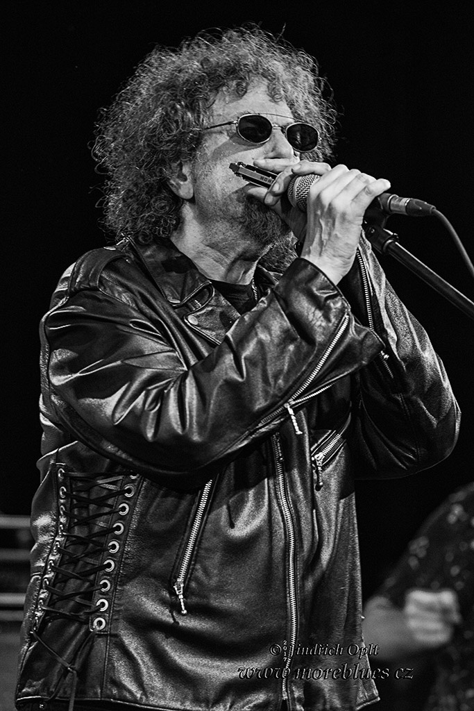 BLUES HARP EXPLOSION_100