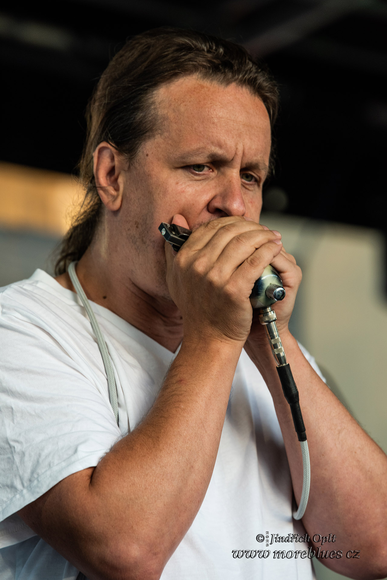 SGP_20