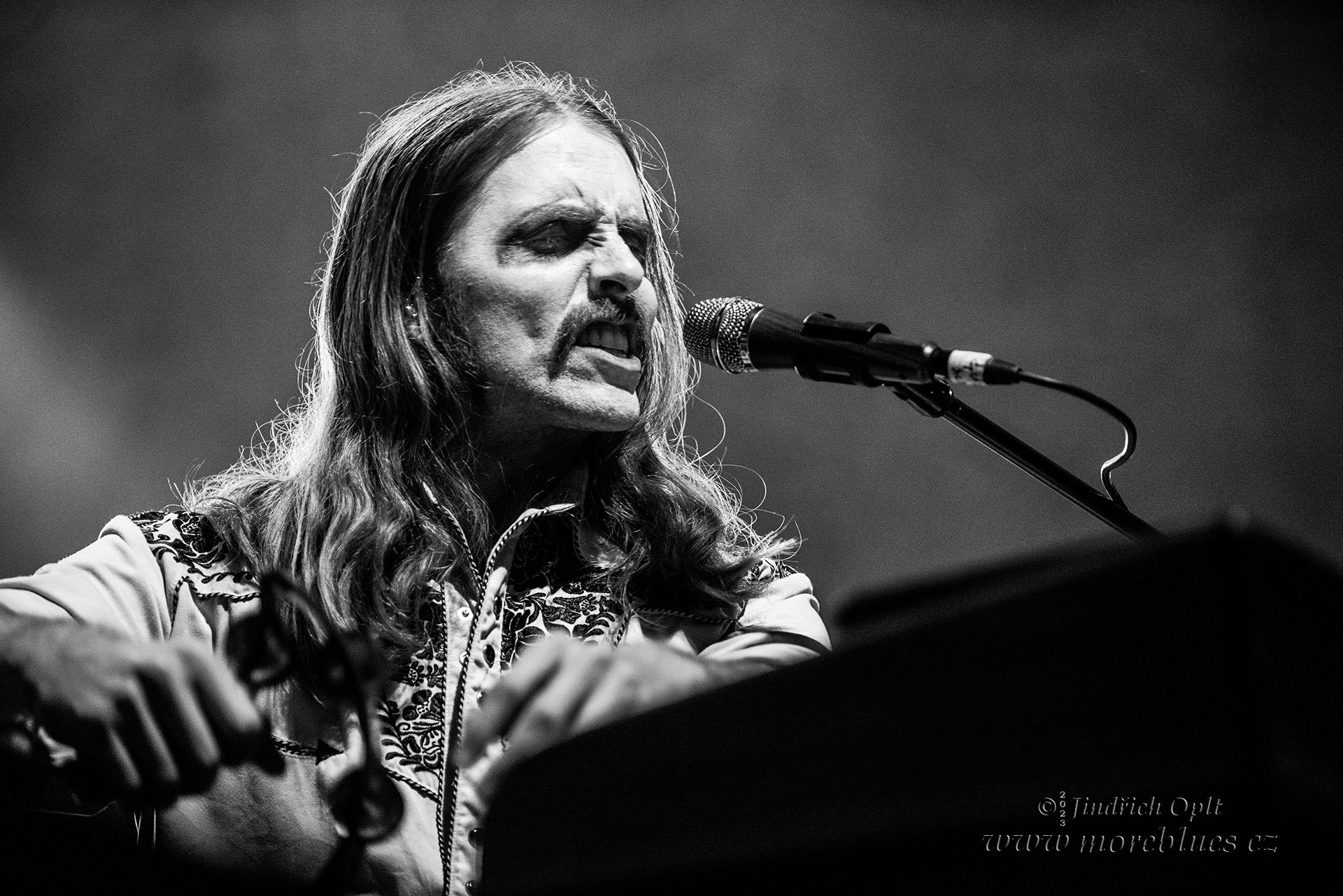 SHEEPDOGS_38