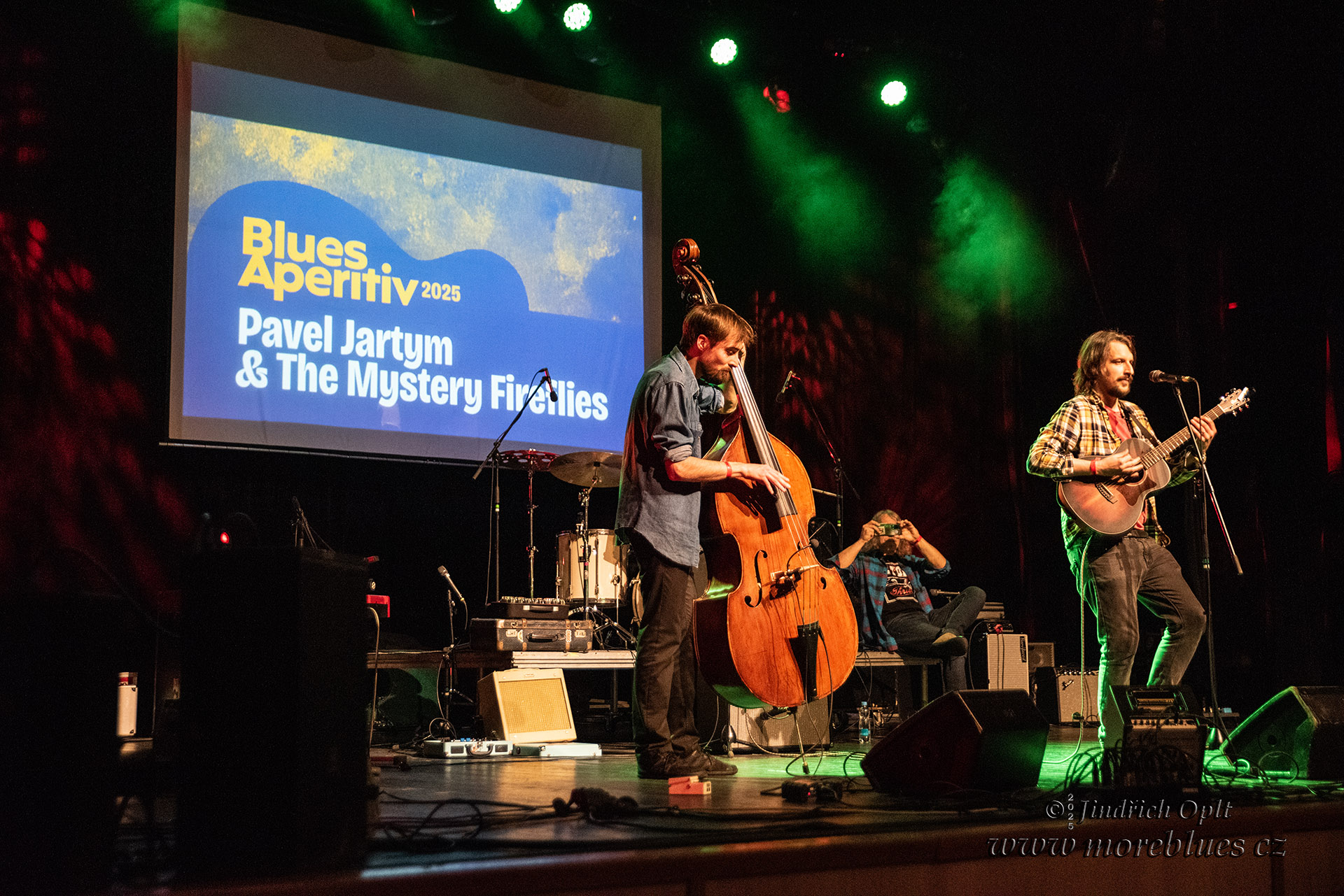 MYSTERY FIREFLIES_45