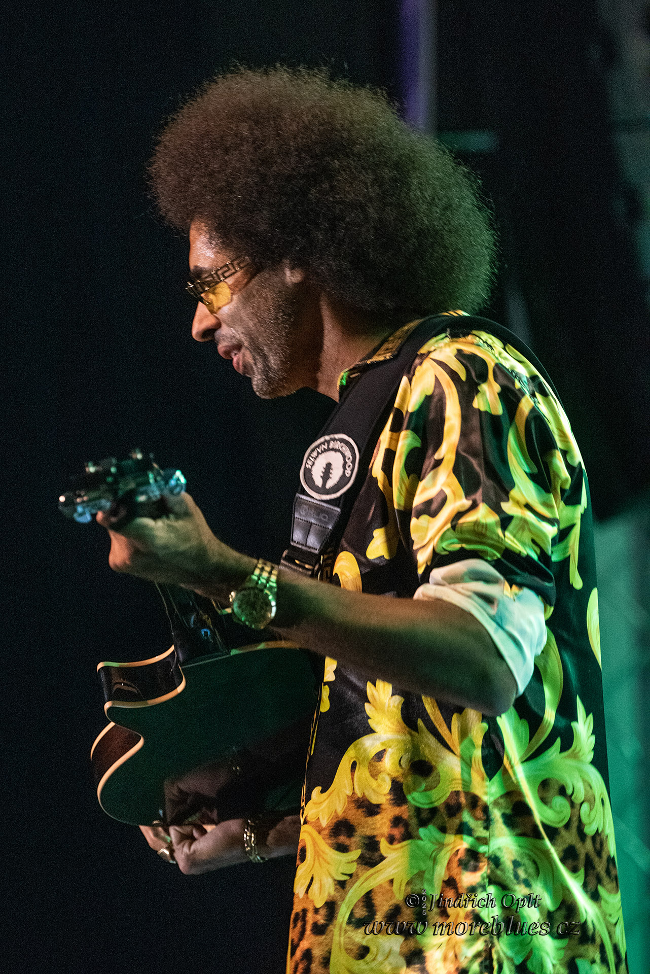 SELWYN BIRCHWOOD_01