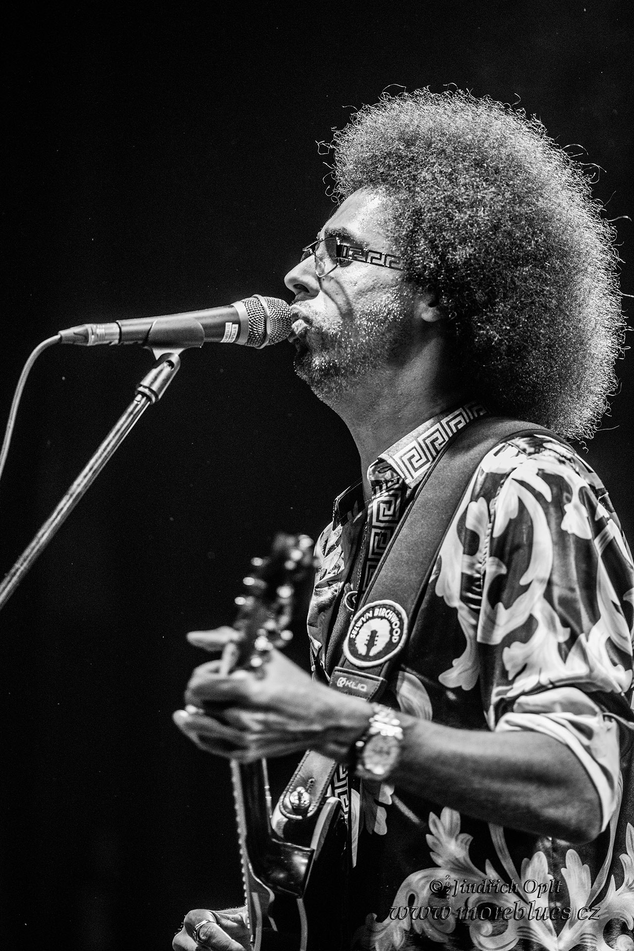 SELWYN BIRCHWOOD_11