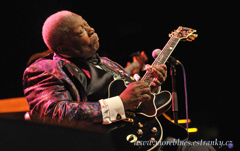 B B  KING_46.jpg