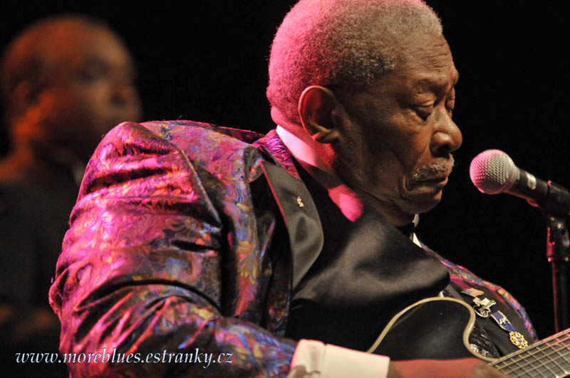 B B  KING_48.jpg