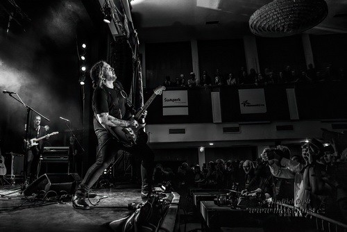 devon-allman-project_116_500.jpg