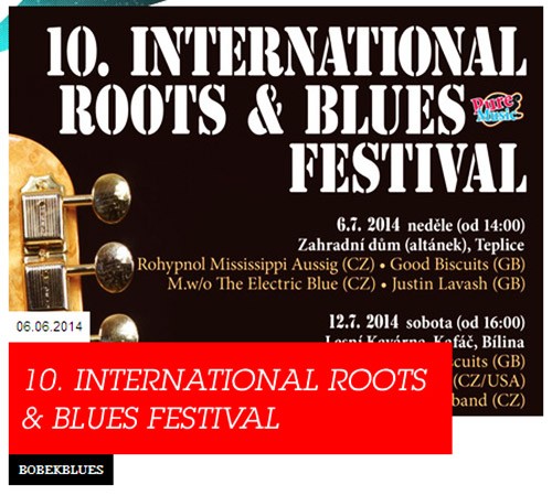 roots---blues-2014.jpg