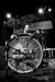 Frank Morey Band_22