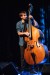 MYSTERY FIREFLIES_28