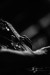 BERNARD ALLISON_108