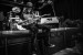 GWYN ASHTON TRIO_080