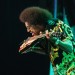 SELWYN BIRCHWOOD_03